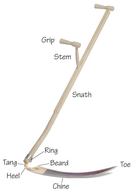 A scythe with the parts labeled